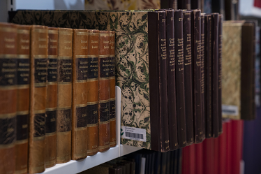 Billede af bøger fra Danmarks Statistisk bibliotek