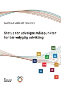 Forside - Baggrundsrapport