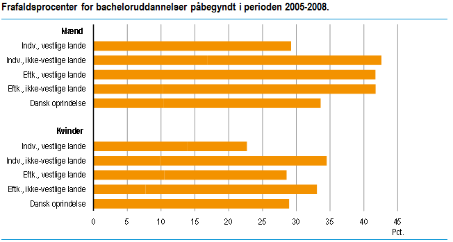 Ikke-vestlige indvandrere afbryder ofte en bacheloruddannelse