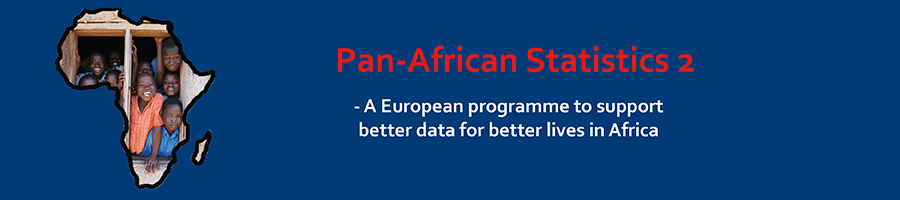 Pan-African Statistics 2 - Banner 900x200