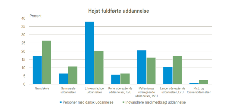 indvandreres medbragte uddannelse01