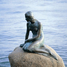 The little mermaid