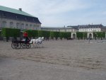Picture from the 91 DGINS in Copenhagen
