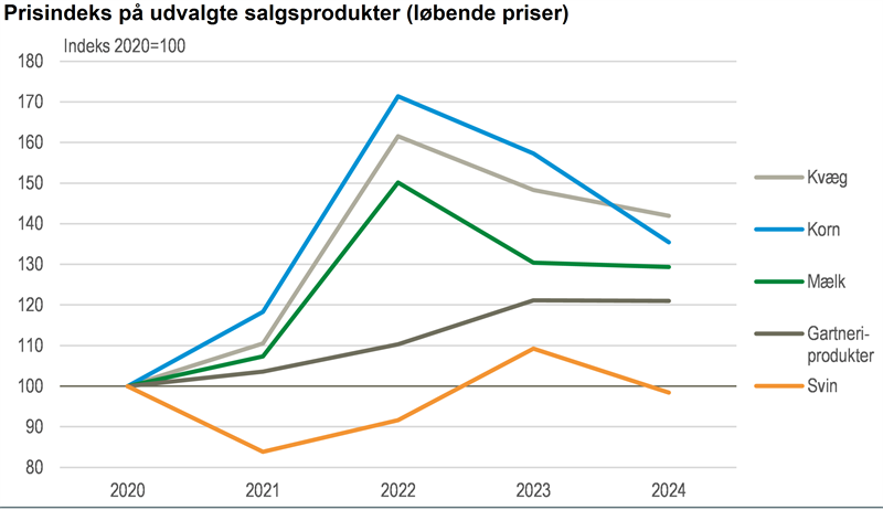 Lavere korn- og svinepriser i 2024